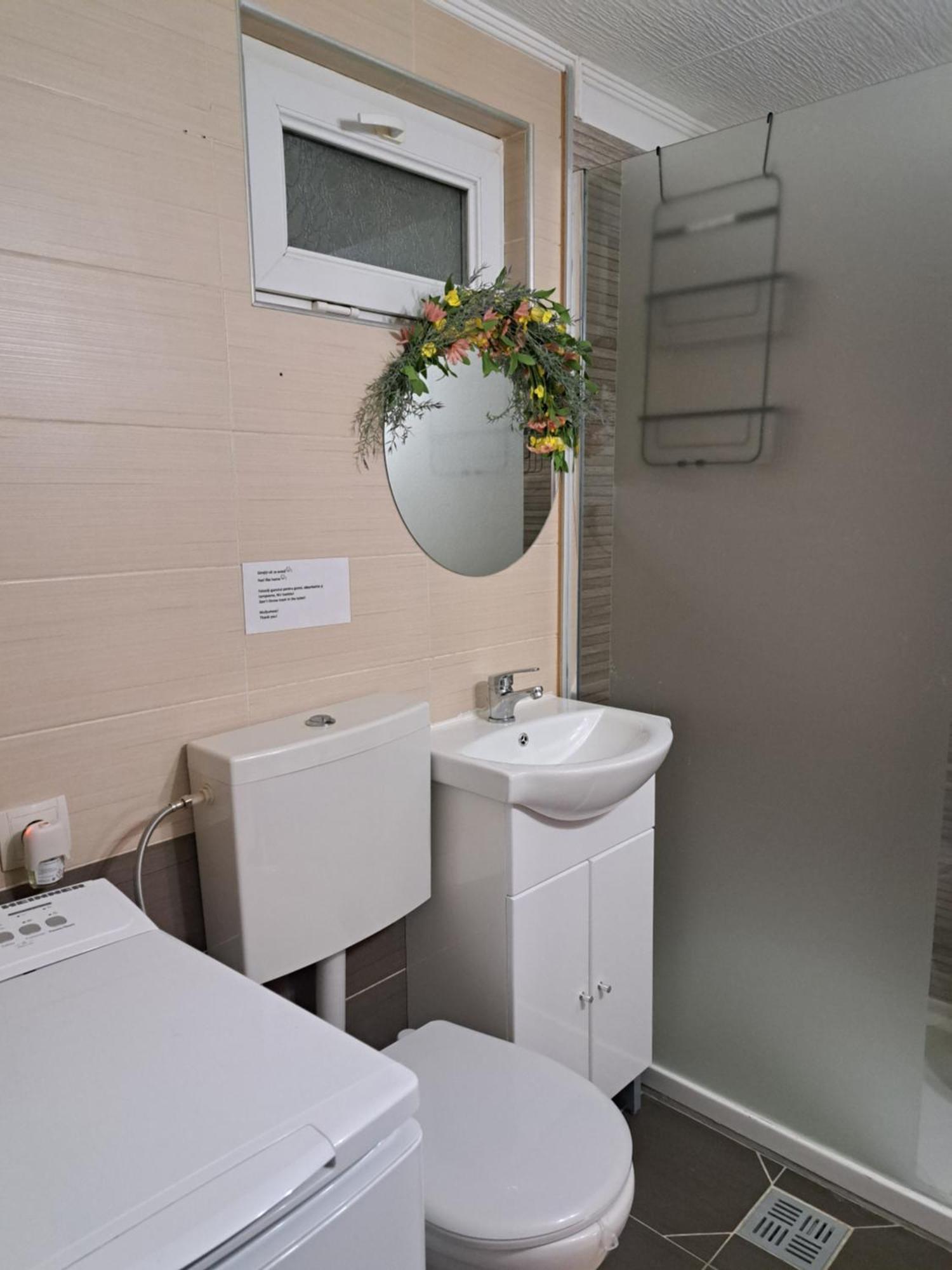 Studio With Free Parking In The Center - Deliamo 3 Sibiu Exterior photo